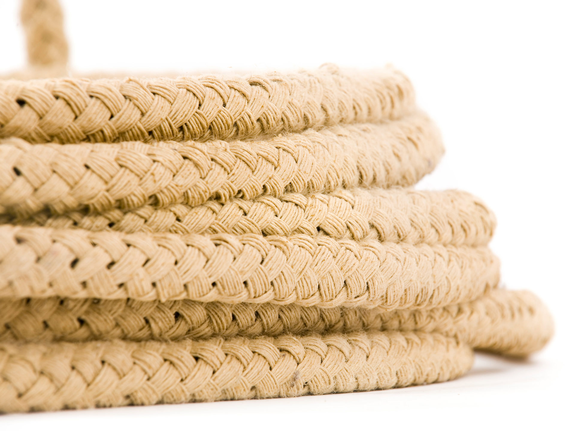Stolenwood Catching the wild