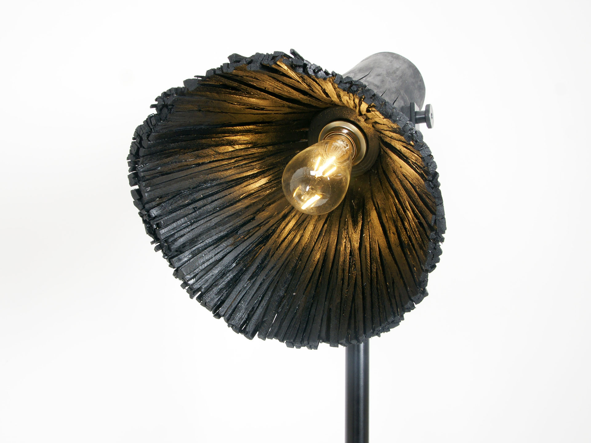 Pressed wood floor light