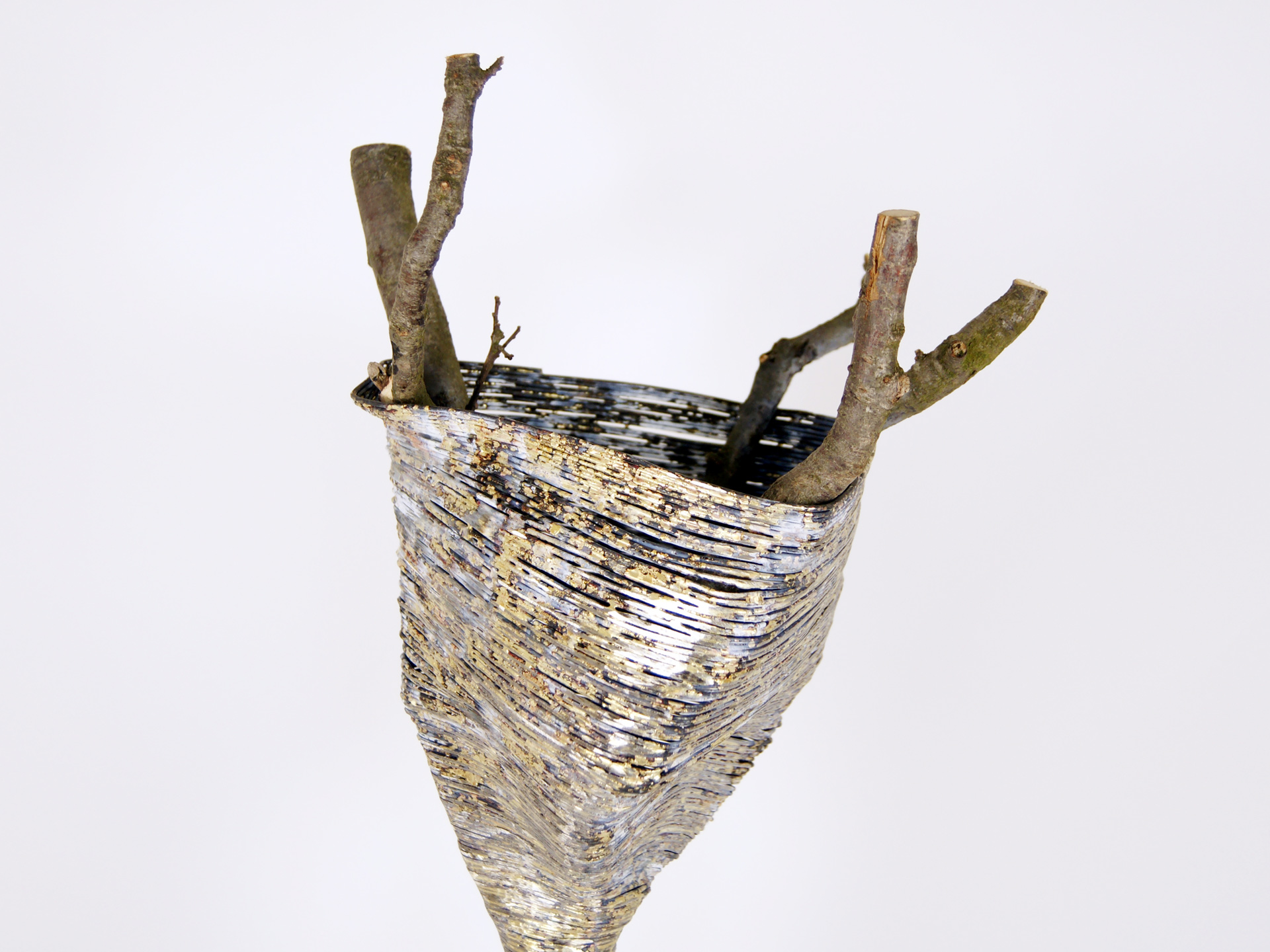 Wrap Beech Wood